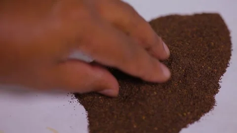 Inspecting dry tea powder 動画素材 288232931