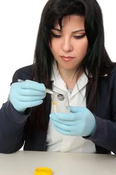 Inspecting evidence Stock Photos