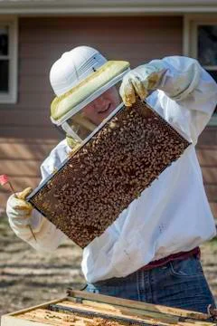 Inspecting the Frames Stock Photos
