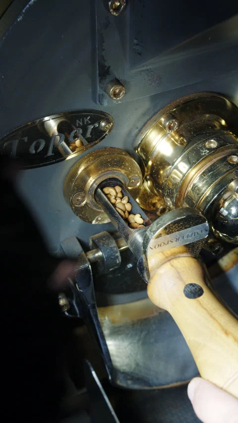 Inspecting green coffee beans in roasting machine Stock Footage 313795637