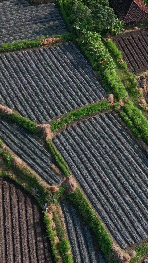 Inspecting land features with irrigation and planting patterns clearly evident Video stock 332307128