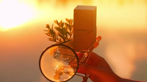 Inspecting products in an E-commerce cart with a magnifying glass. Stock Footage 316141815