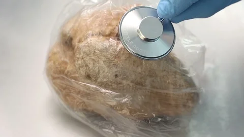 Inspecting stone with stethoscope. Stock Footage 97214408