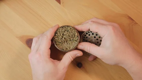 Inspectingmarijuanagrinder Stock Footage 129714475