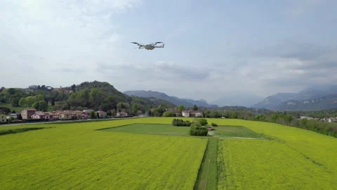 Inspection Drone over a Yellow rape field in bloom Stock Footage 239262547
