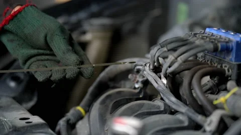 Inspection of the engine and checking the motor oil level Vídeo Stock 208590831