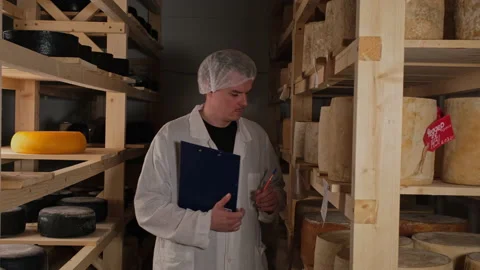 Inspection of finished cheeses. Technology of work at the cheese factory. Vidéo 180056344