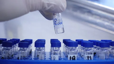 Inspection of test tubes Stock Footage 88293862