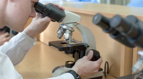 Inspection of Under a Microscope Stock Footage 67463472