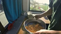 sieving grains