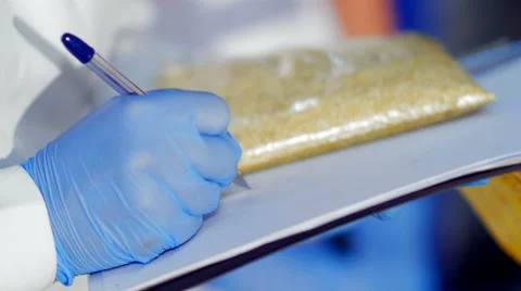 Inspector checks quality of grain in a large warehouse - writes checks to the Stock-Footage 68611128