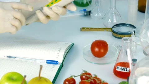 The inspector checks the tomatoes taken for analysis from the store. Video stock 168219070
