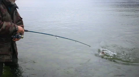 Inspector Stock Footage 589630