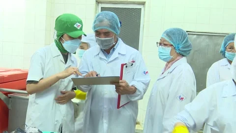 Inspector Reviewing Documents with Factory Workers in Seafood Plant Stock Footage 344949857