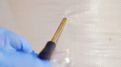 Inspector takes a sample of the grain in stock - millet in bags Stock-Footage 68610929