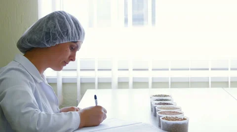 Inspector writes information in the laboratory - looking for quality millet Stock-Footage 68615077