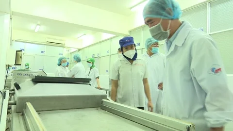 Inspectors Check Equipment in Seafood Processing Facility Stock Footage 344949665