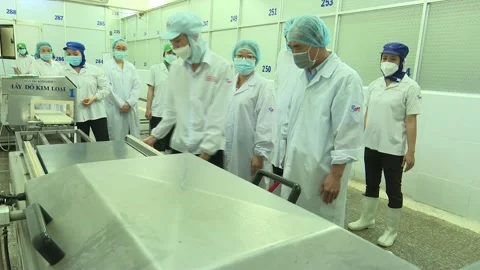 Inspectors Examine Seafood Processing Equipment Stock Footage 344949639