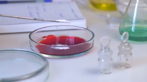 The Inspector's for research in the laboratory. Stock Footage 218263403