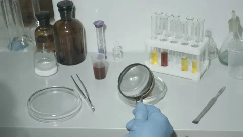The Inspector's for research in the laboratory. Stock Footage 220257007