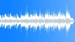 Inspiration 30 secondsStock Music