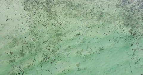 Inspiration, jump into your future - flying into the ocean Stock Footage 65025650