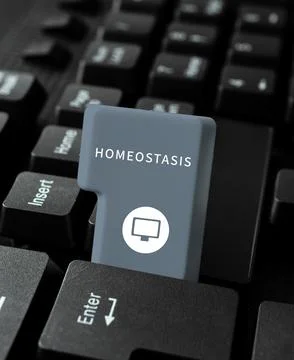 Inspiration showing sign Homeostasis. Business concept the tendency toward a Stock Photos
