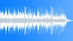 Inspirational Acoustic Orchestral Pop 30 seconds Stock Music