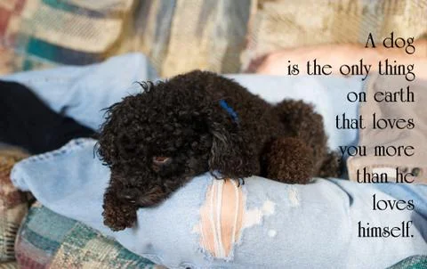Inspirational quote. Stock Photos