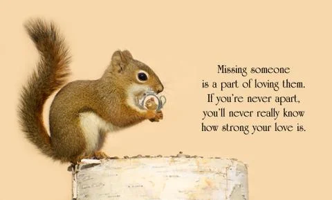 Inspirational quote. Stock Photos