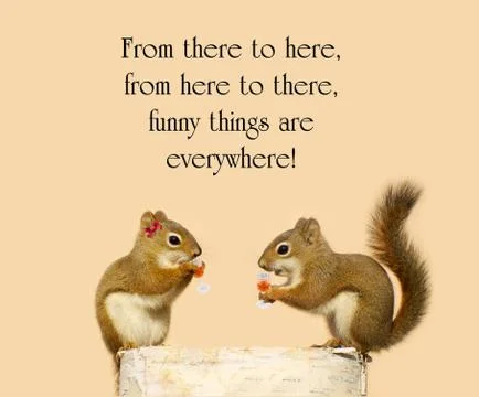 Inspirational quote. Stock Photos