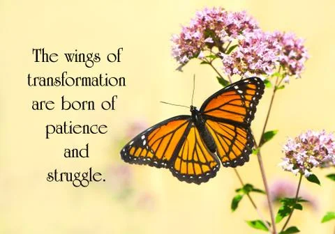 Inspirational quote. Stock-Fotos
