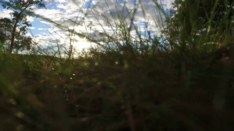 Inspirational River Sunset - Slow Motion Drone Taking Off  Vidéo 75798353