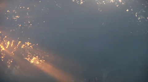 Inspirational sun through trees Stock Footage 907910