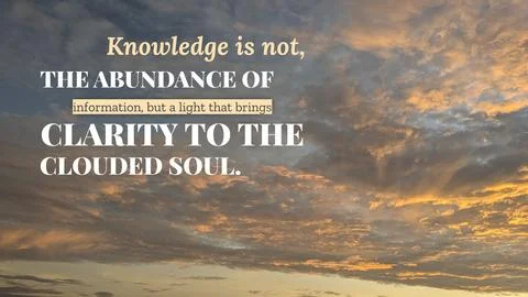 Inspirational typography layout featuring the quote Knowledge is not the ab.. Fotos de archivo