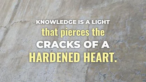 Inspirational typography layout featuring the quote Knowledge is a light th.. Fotos de archivo