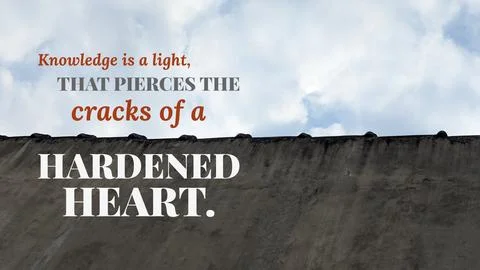 Inspirational typography layout featuring the quote Knowledge is a light th.. Fotos de archivo