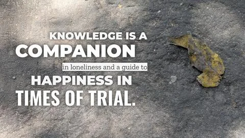 Inspirational typography layout featuring the quote Knowledge is a companio.. Fotos de archivo