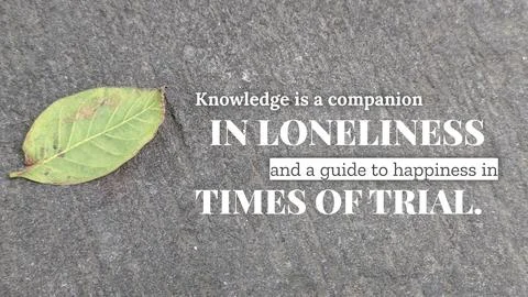 Inspirational typography layout featuring the quote Knowledge is a companio.. Fotos de archivo