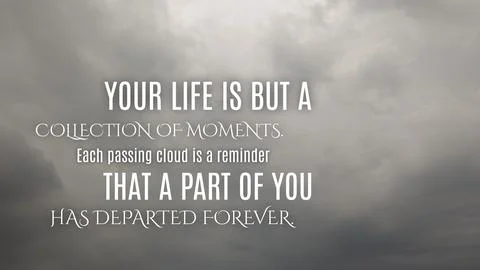 Inspirational typography layout featuring the quote Your life is but a coll.. Stock Photos