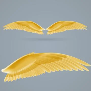 Inspire wings Stock Illustration