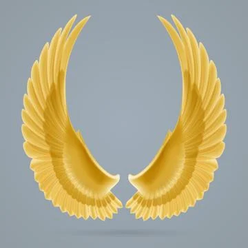 Inspire wings Illustrazione stock