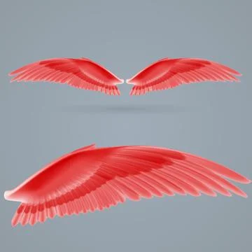 Inspire wings Stock Illustration