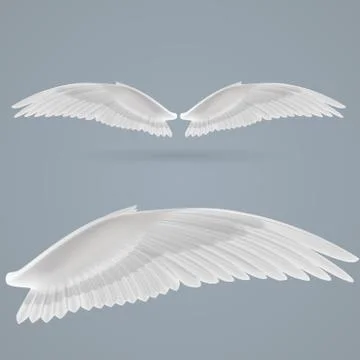 Inspire wings Stock Illustration