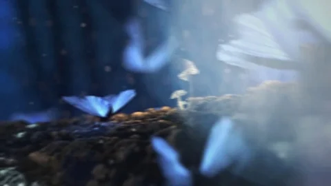 An Inspiring Parallax Slideshow Stock After Effects