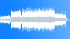 INSPIRING PIZZICATOSStock Music