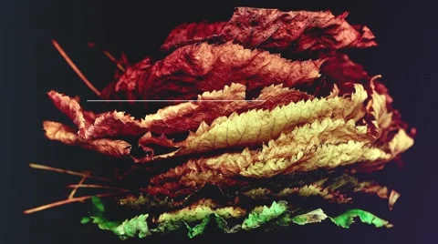 Inspiring Slideshow After Effects素材