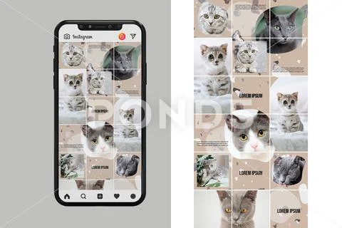 Insta puzzle for pet photos PSD Template
