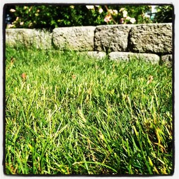 - with instagram effect Stock Photos