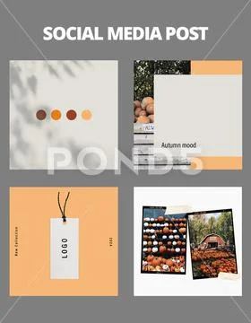 Instagram social media orange post template set ~ PSD Template #255520338